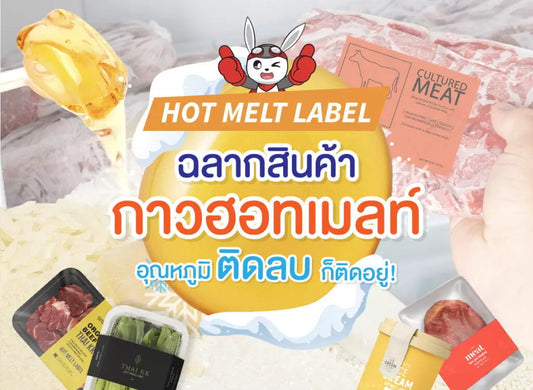 ฉลากสินค้า กาวฮอทเมลท์ (HOT MELT ADHESIVE)
