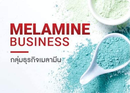 Melamine Business